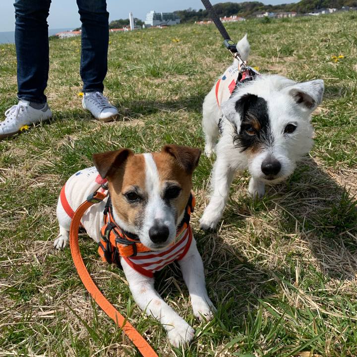 4b06ab06 fe09 4f18 8e5b a609b25d8710 1586225041317