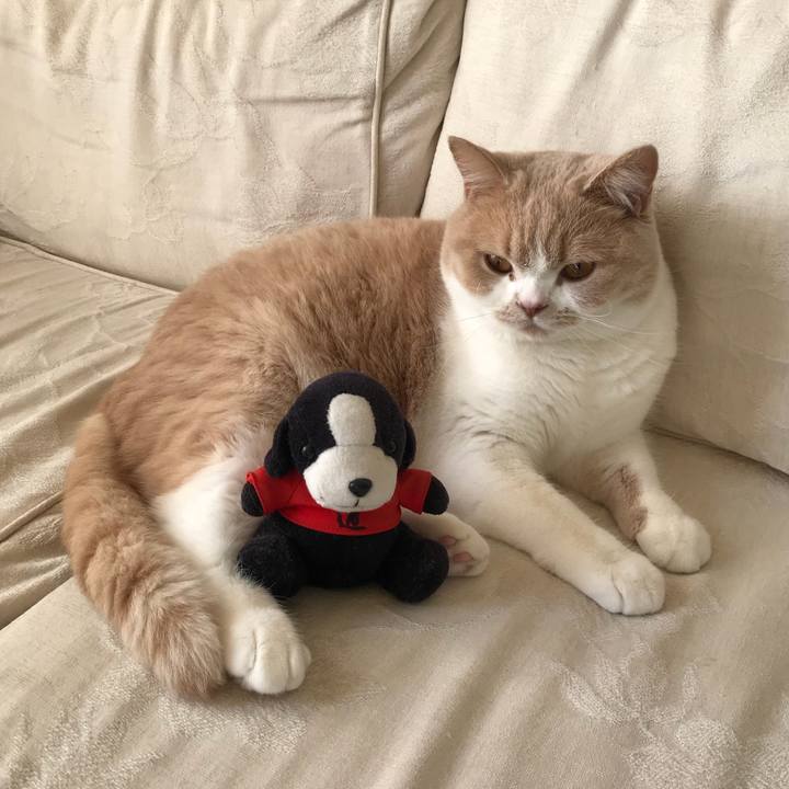 4b06de79 f252 414a 92b6 48440c1fd336 1510016485247