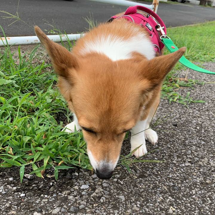 4b06e035 6ddb 4383 8b21 f1d42f2412f4 1627082339154