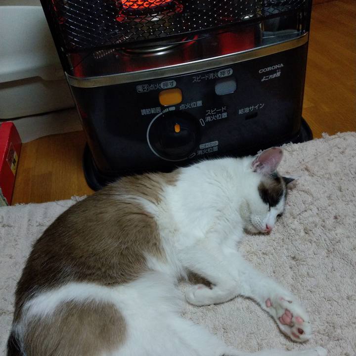 4b06f2c4 25c9 469e 83a3 cd372691ea47 1525781496133