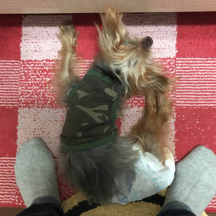 4b06fcd3 6969 4b80 8b9b 2a0c00b97fc5 1540461801228