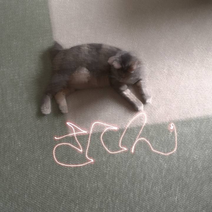 4b070297 587f 408c a6f5 b8fcf797136f 1593837182348