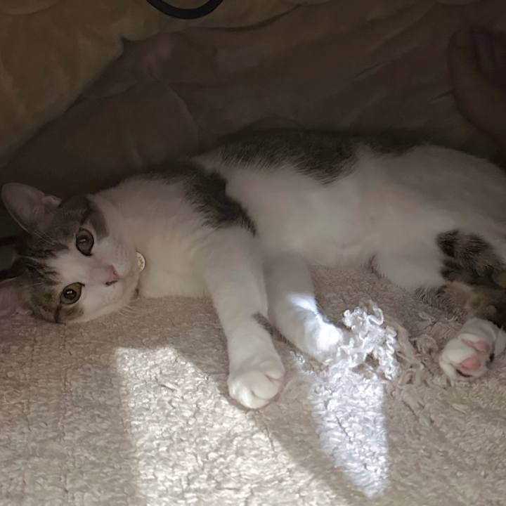 4b074cce 6b6d 45ef 8d6a 442cadd5d726 1763632391935