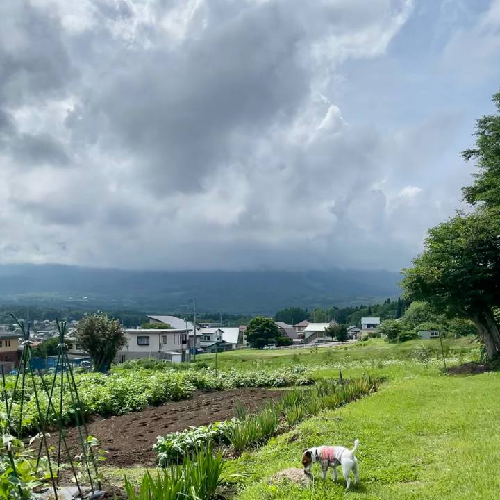 4b0750d3 078c 48b2 9080 3bec183d8c56 1625301310256