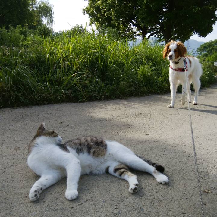 4b07a478 125f 4757 8215 783b1a09e7c9 1527206730185