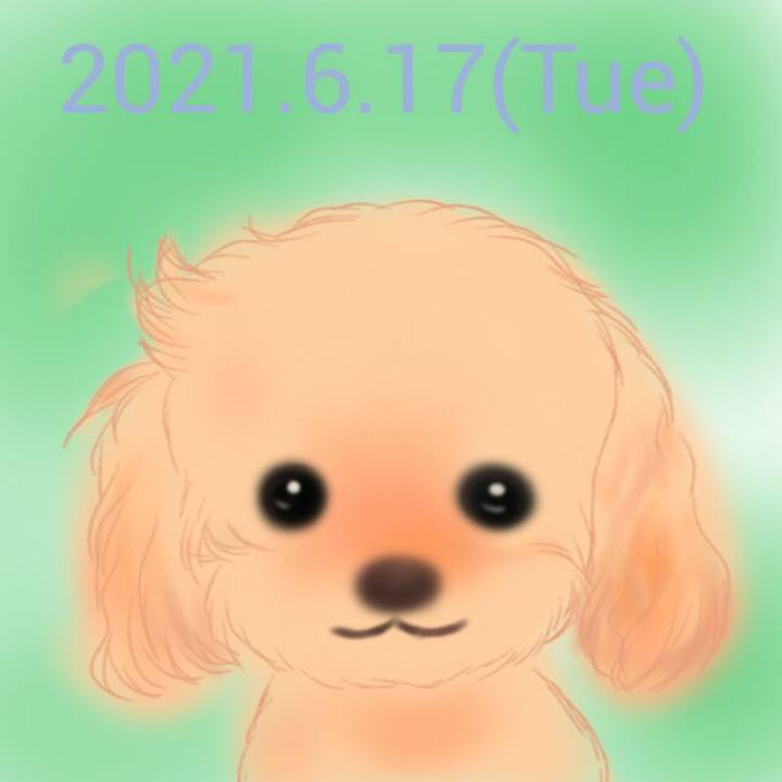 4b07de95 13a4 4792 823e a8822500651e 1623933736211