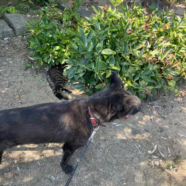 4b07ea7b fd53 4489 ae7e 439c611365fc 1689055495473