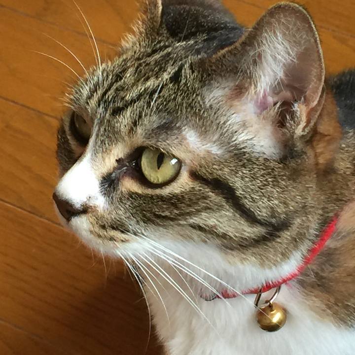 4b07fc98 0218 4c82 94d4 4df2009646c2 1559372538240