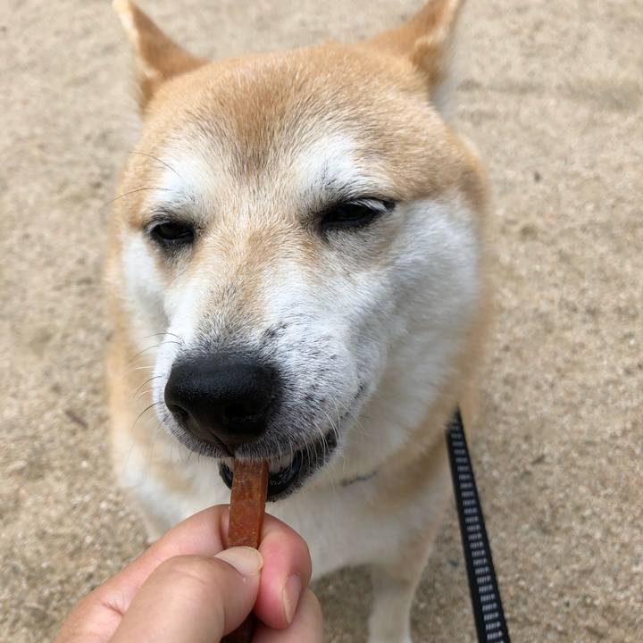 4b080665 e008 4f7a b15b e3b7c818331e 1560775345947