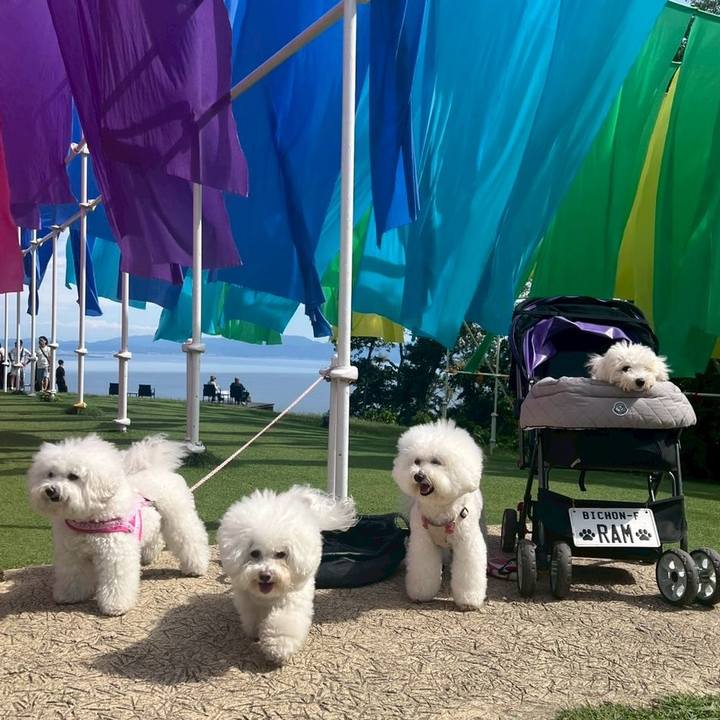 4b08451c f461 4c26 a75e 64f8cf8d9d48 1763066931911