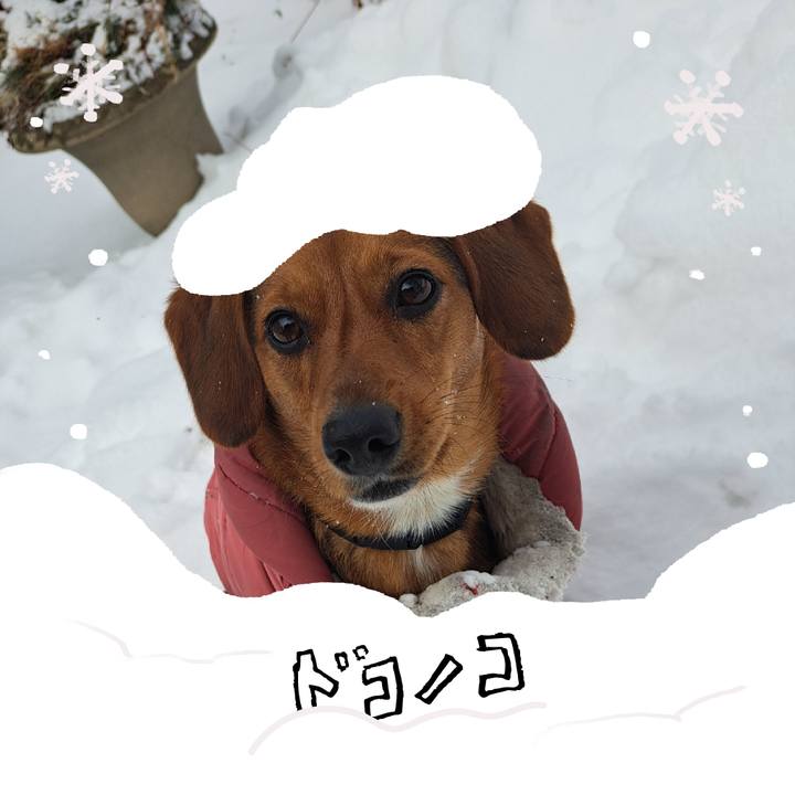 4b08529a 6bab 4a37 be53 809715880613 1771969119351