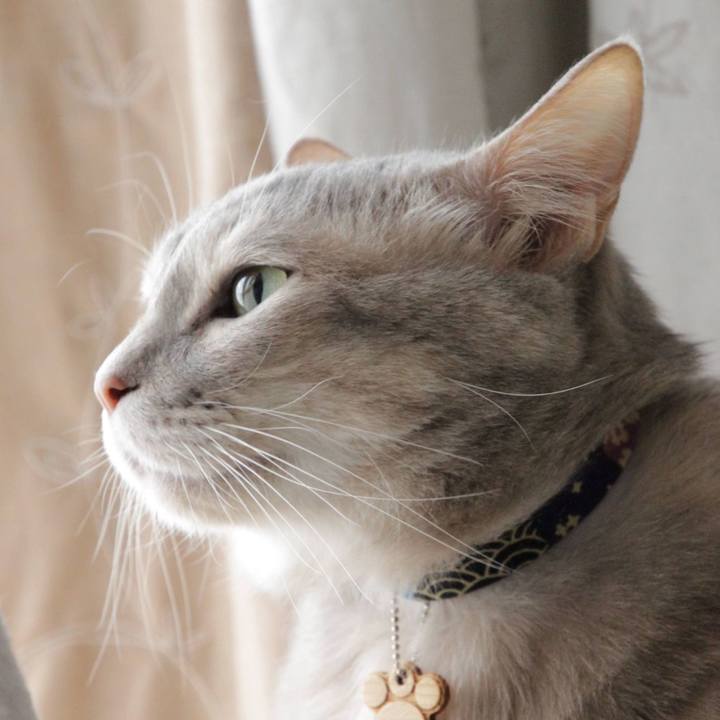 4b086221 fd4e 4efb af8d fb6bc5dcdc04 1647923467166