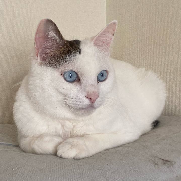 4b096887 bb33 433f 8627 26df8e50e518 1733875741827