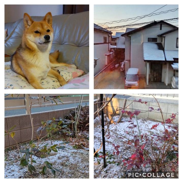 4b097058 dedc 416d 8bce 02236631be17 1645068980867