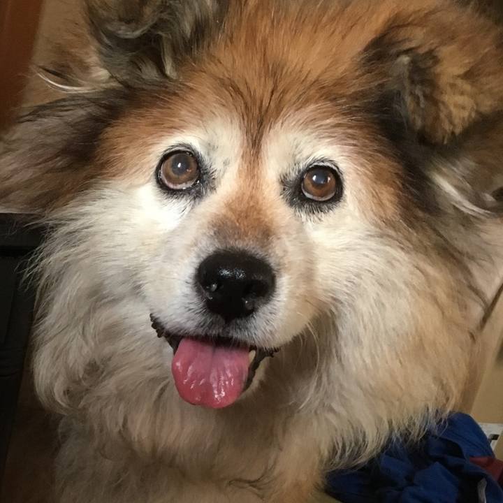 4b097140 526c 410b 91c1 bc748e285bca 1604506447352