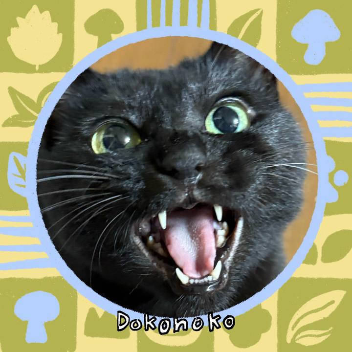 4b09d3bf 0be1 4c00 ac33 1115c2533022 1761221165296