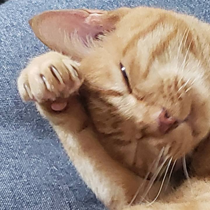 4b09fed3 cd56 4371 a964 90058bf40afb 1722062893921