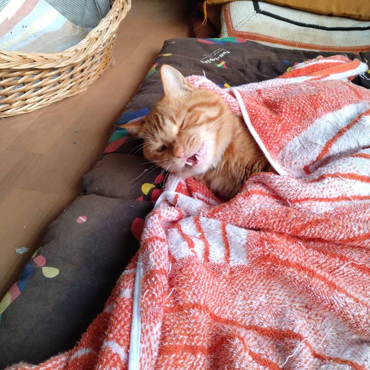 4b0a3ff7 aa95 467c 8a3b 07cf2df91e81 1668412896699