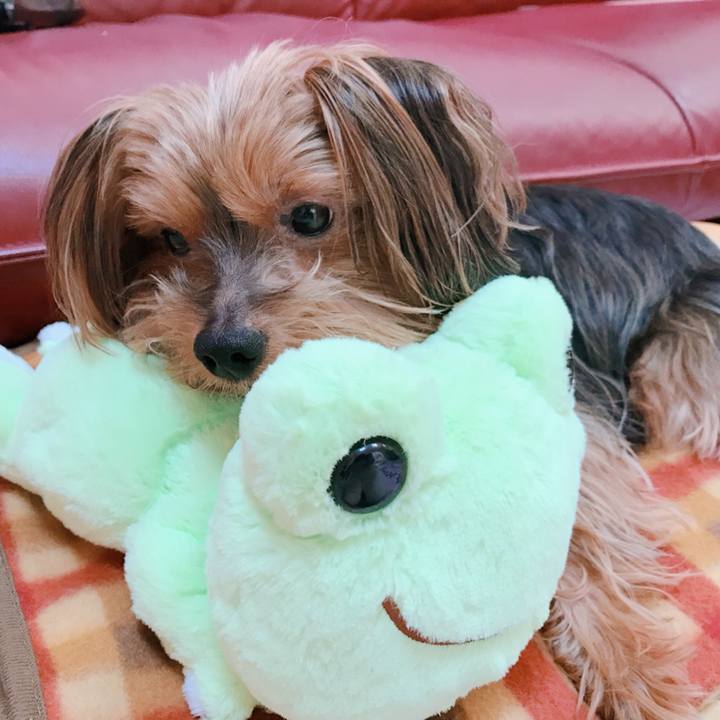 4b0a4bf6 0778 4a07 96d5 a49227bd839d 1535352338004