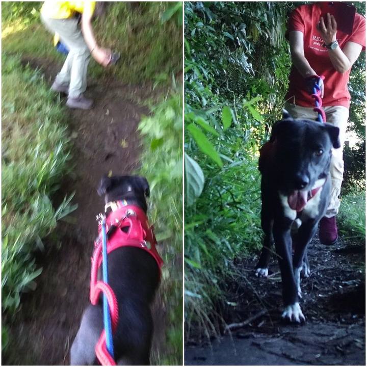 4b0ac844 6903 4588 8a6c c0f53f16235c 1592612461198