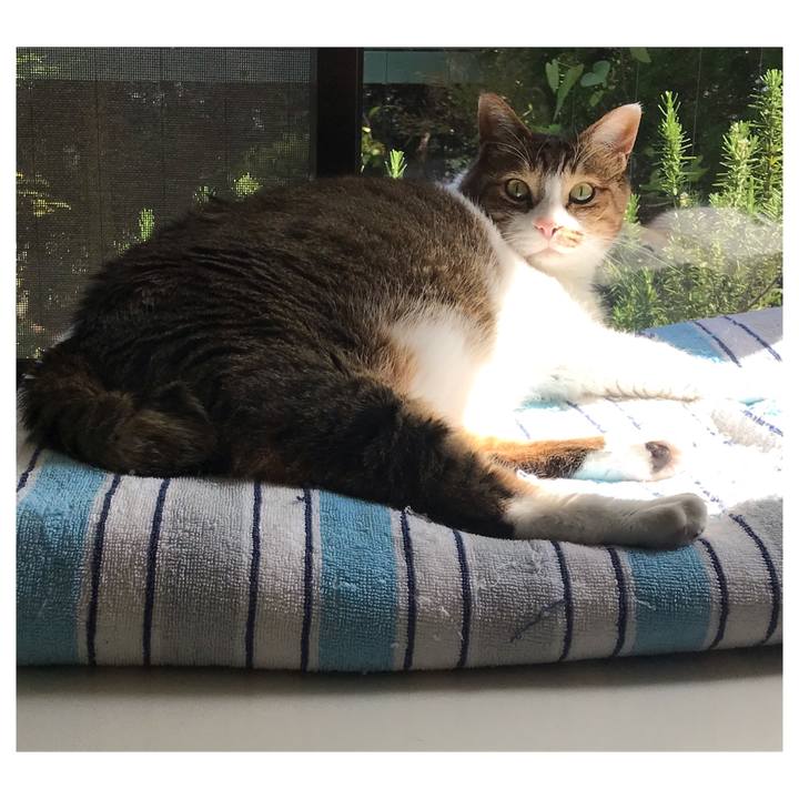 4b0ad0ff 103a 4460 a11a b0f982b7013a 1651360111116