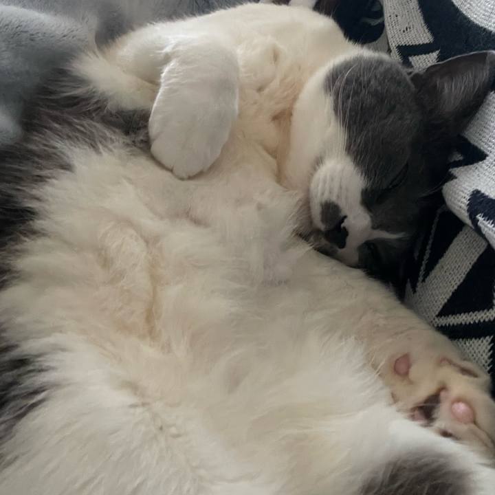 4b0ae130 19a2 4222 bbff fb6f3ac84663 1741676667932