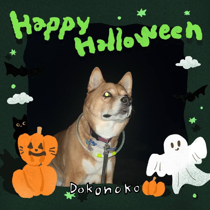 4b0b8ad5 bd11 46f8 98b1 304d32fe51cb 1729809773766