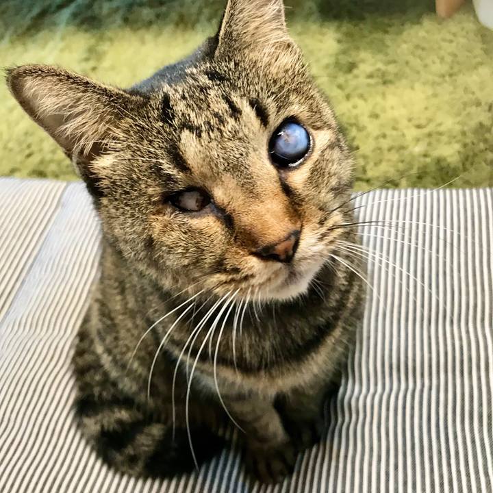 4b0b9efa ec24 4244 a108 e67759bb31bd 1603958208517