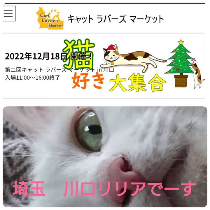 4b0ba7f6 c419 4cd4 b308 68737929995d 1666447689604