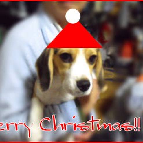 4b0bbab0 9ffc 43f5 ba48 2f615573e6b9 1703463997646