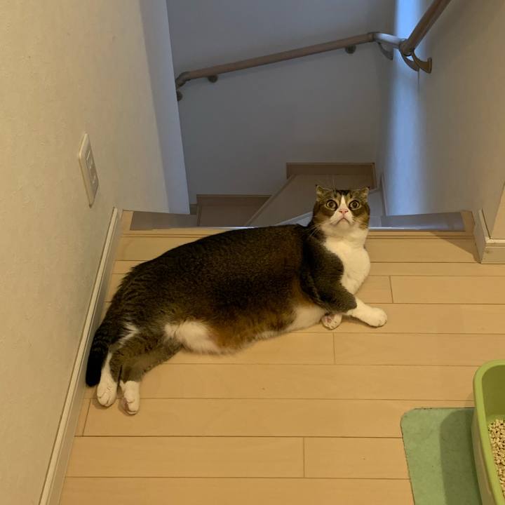 4b0bbac8 a371 46ec ab93 6b140415f20c 1572390995812