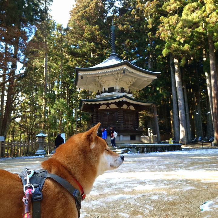 4b0bc1d1 6748 474a 887b 791005fde133 1767088349928