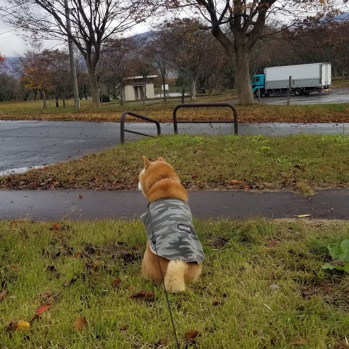 4b0bd385 65ef 49fc 81ed 24e4f43a347f 1731899192751