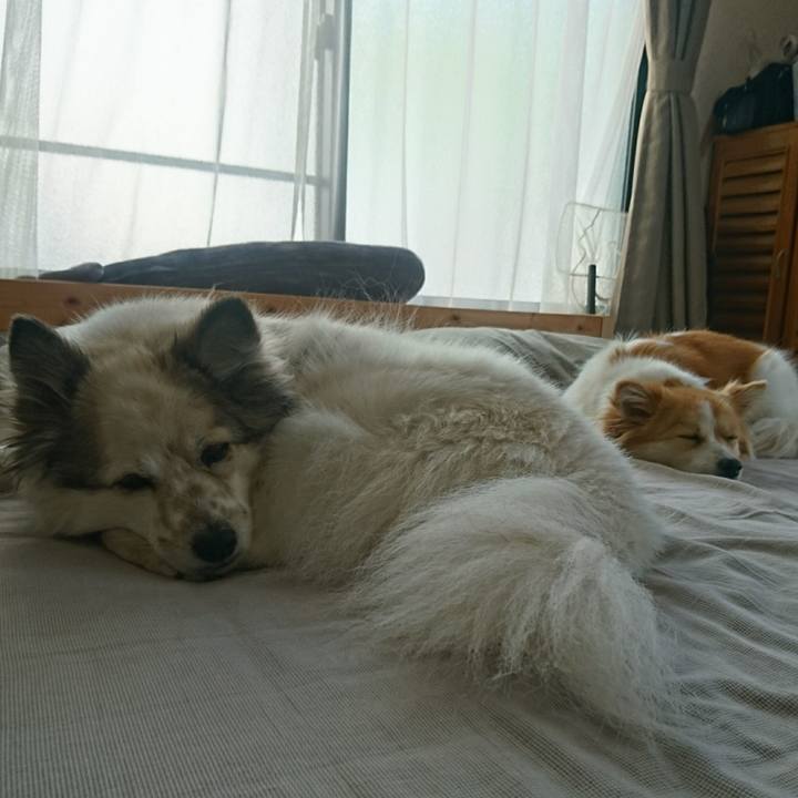 4b0be63f 35bf 4e81 a81f 2c401a0c93ef 1561292819779