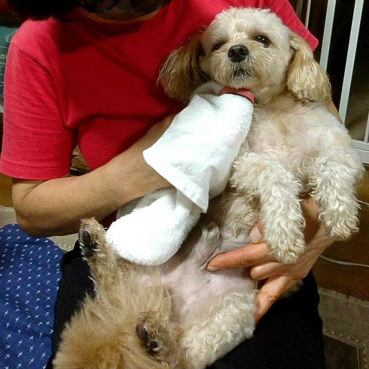 4b0c44fc fd1f 4693 8b81 9ee81f8ac555 1536960538529