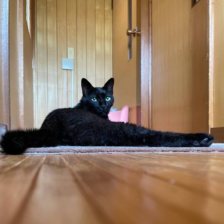 4b0c56e9 4b22 46ed bd59 6f69d0bacb0f 1659921469830