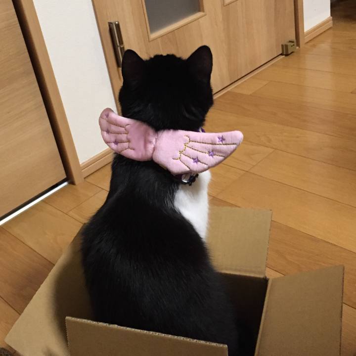 4b0c5f0d 02e5 4e1b a3f5 990ac033d2ec 1541251217158