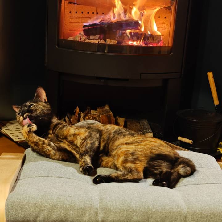 4b0c5f1c 5ccd 4800 bf2e a61541dd1d73 1765546847494