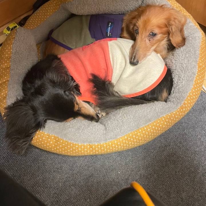 4b0c6108 835a 45e9 98ee 7af7f52c22cd 1676855836647