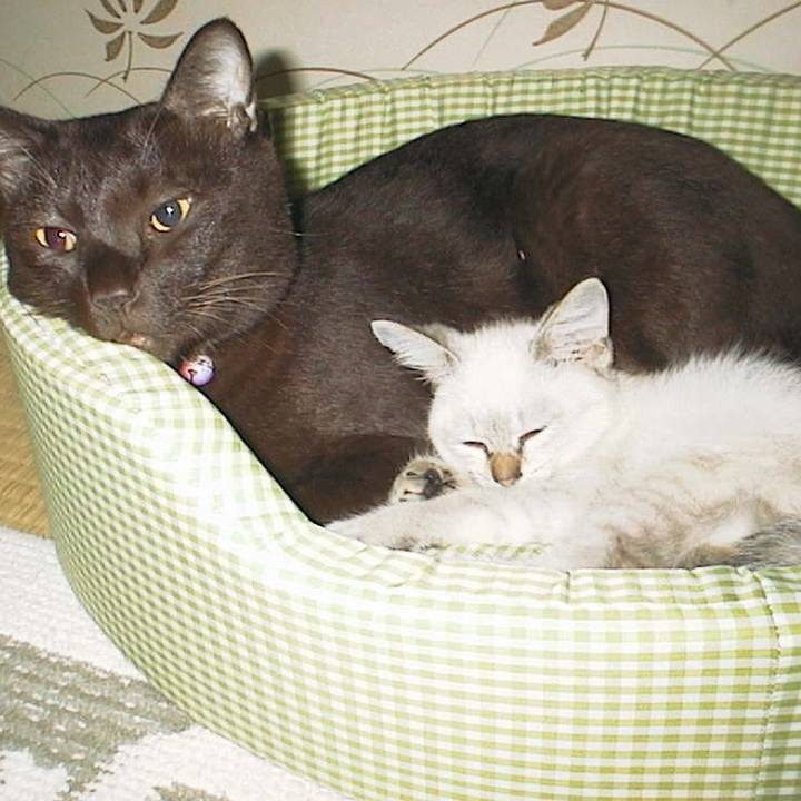 4b0c6216 faf4 474f ae96 72c4ab5f5241 1616065922446