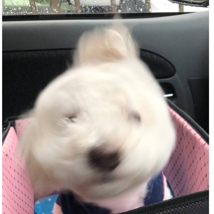 4b0c6a9a c546 4f57 9179 958524cd659a 1538184433038