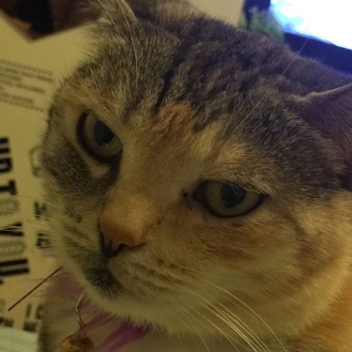 4b0ce1e4 acf7 497b 908d e4b915efd87f 1552059366750