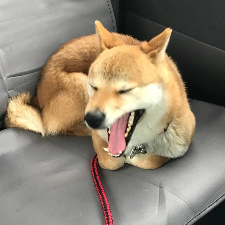 4b0d1b66 a204 4143 b4c3 79b992e83689 1519627941940