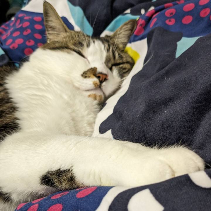 4b0d5003 63b4 46b8 8460 c2ed9b7b35b9 1711788555895