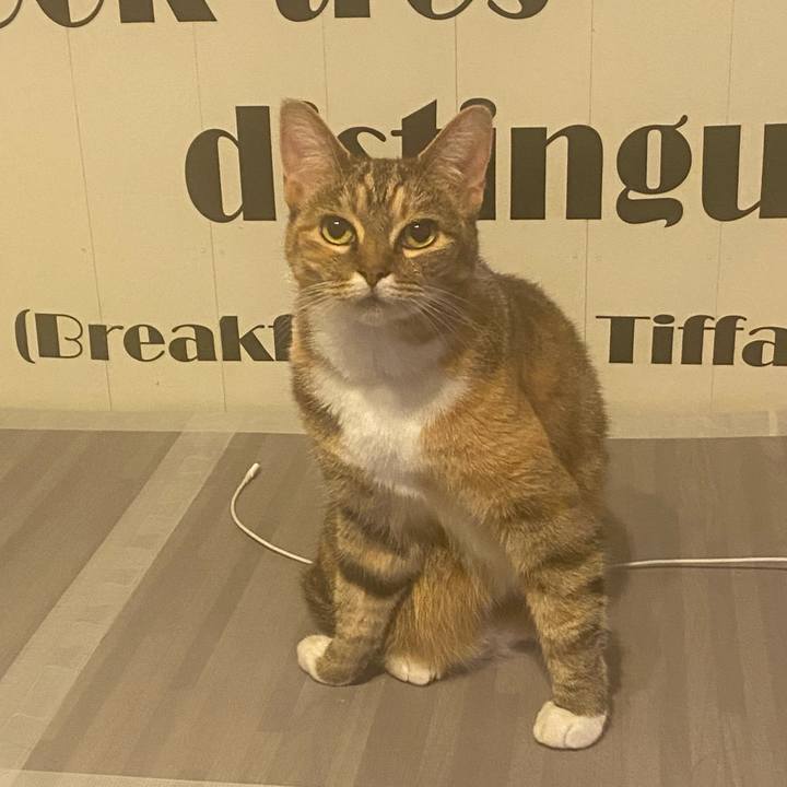 4b0d6ec4 cac5 4de0 a548 215b3846081d 1625293399899