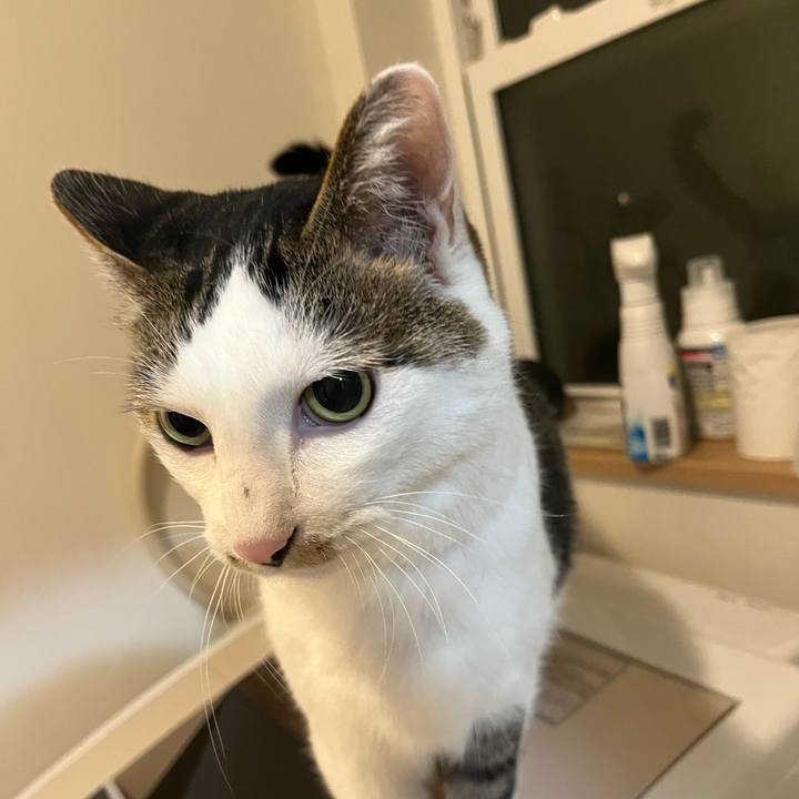 4b0d832c f793 41e0 ab7e a0fd46635f3e 1697807132420