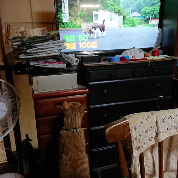 4b0d9748 a37e 4927 bbd4 1b3af5dbffb0 1592995746993