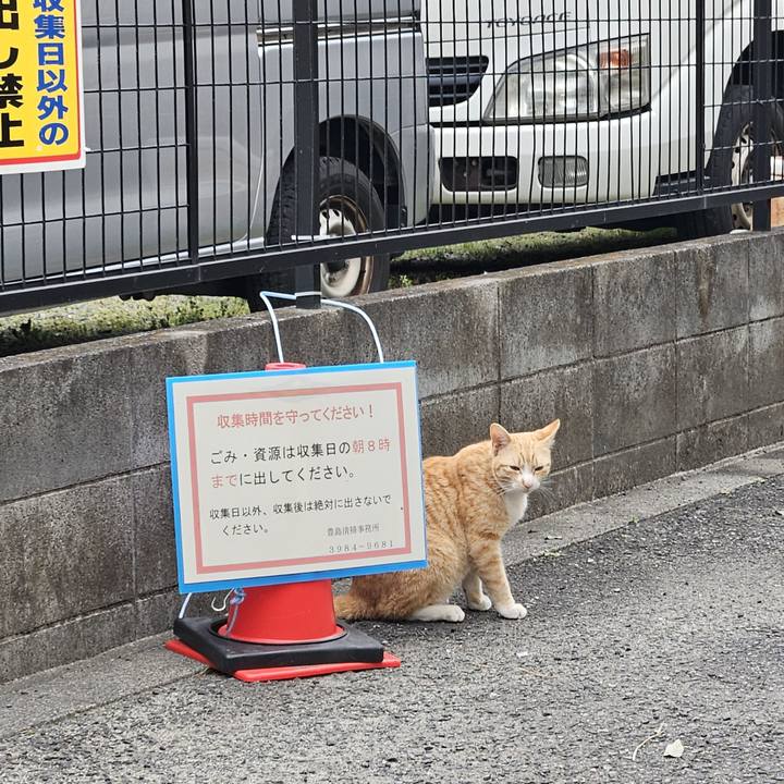 4b0d9b89 517d 45fb 8751 67c24c0f2bf5 1711883314289