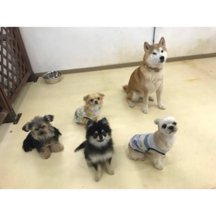 4b0df8f8 fdb5 433c bfa1 460d3f5cbb5f 1560417025231