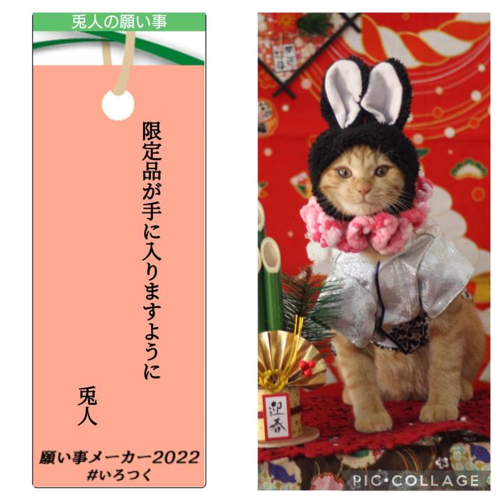 4b0e4801 15f0 4ec1 8f7c 836e62d9063d 1657371658944